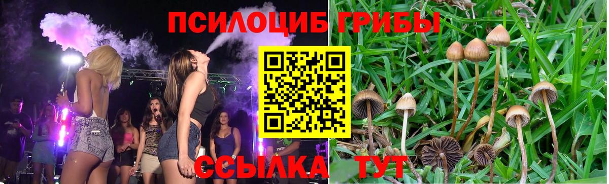 Галлюциногенные грибы MAGIC MUSHROOMS  Вход с VPN  Рузаевка 